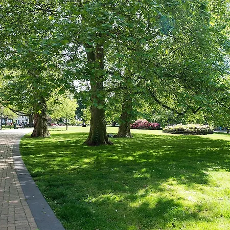 Bizstay City Center